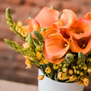 Sunset Orchid Display